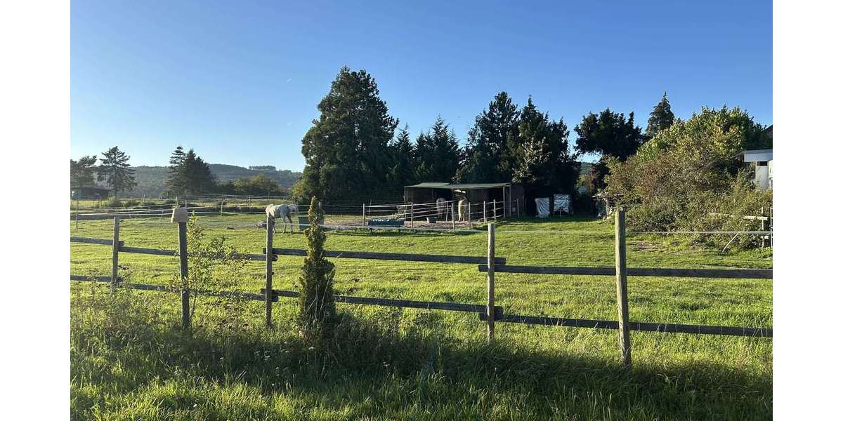 Wohnung zum Kaufen in Eltville am Rhein 349.000 € 91 m² 3 zimmer