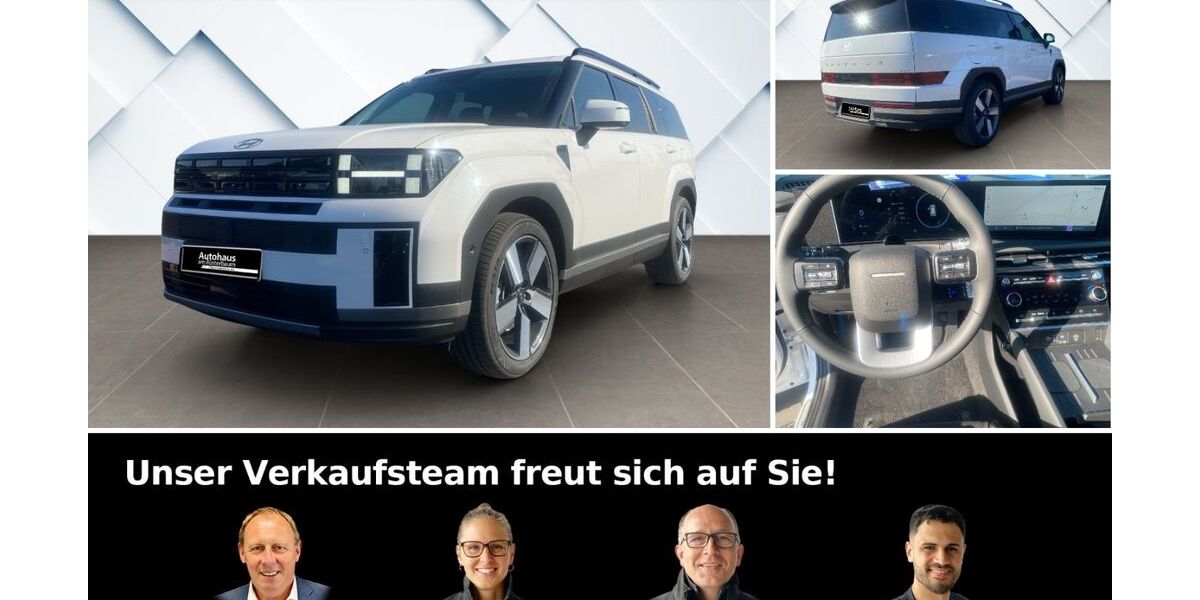 Hyundai SANTA FE 7.900 km 46.880 &euro; Ingelheim 55218