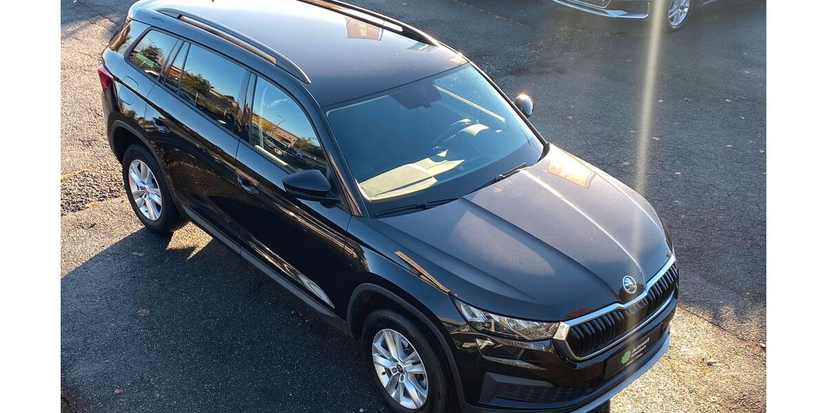 Skoda Kodiaq 134.150 km 23.800 &euro; Schwabach 91126