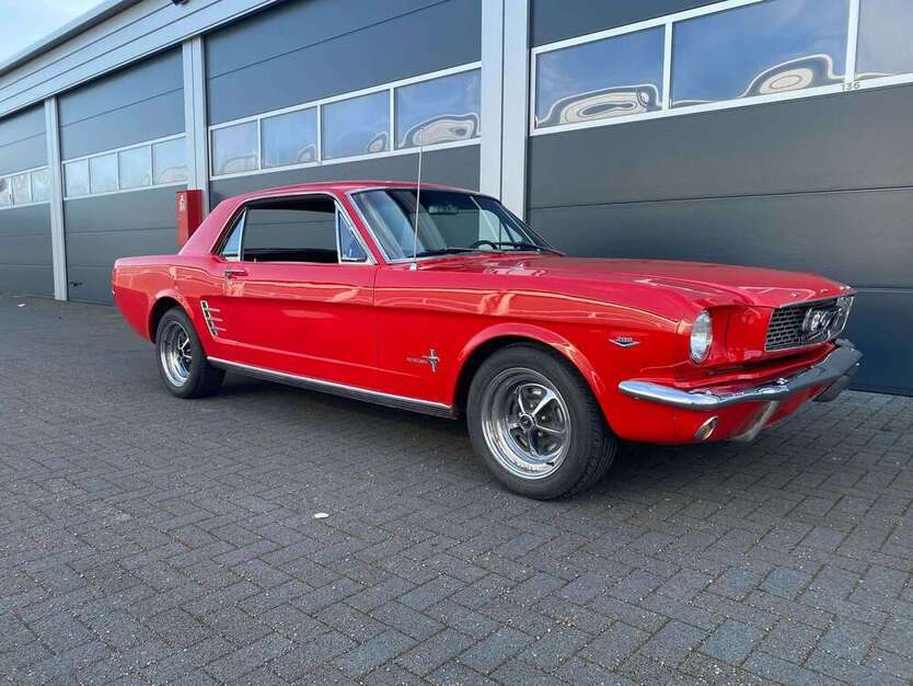 Mustang