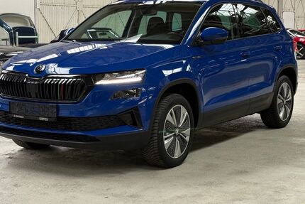 Skoda Karoq 64.497 km 29.490 &euro; Dresden 01157