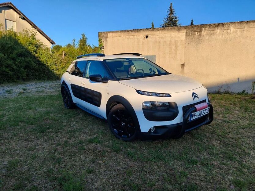 C4 Cactus