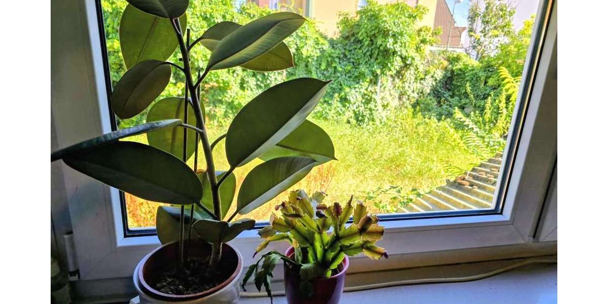 Etagenwohnung Ludwigshafen Ludwigshafen-Oggersheim - 5 Zimmer, 98 m&sup2;, 274.000&euro; | Angebot:27207535