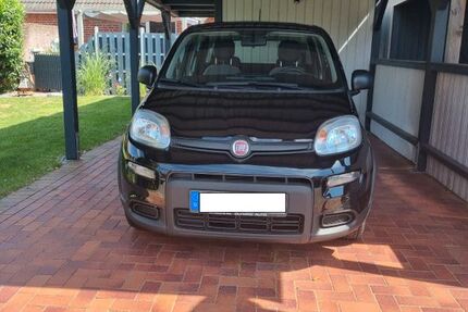 Fiat Panda 36.503 km 10.450 &euro; Schönkirchen 24232