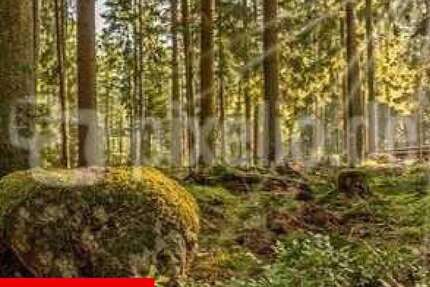 Grundstück Ursberg - 35.000&euro; | Angebot:26277515