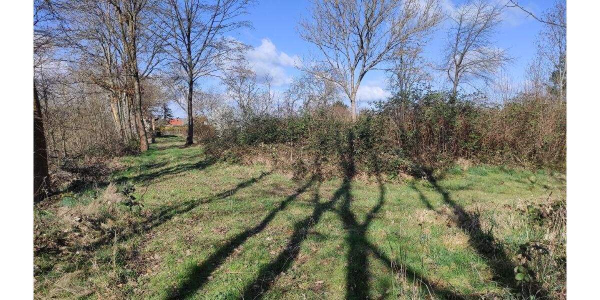 Grundstück Machern - 185.000&euro; | Angebot:24036204