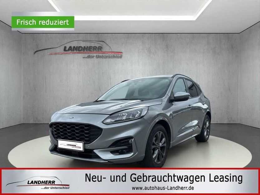 Kuga