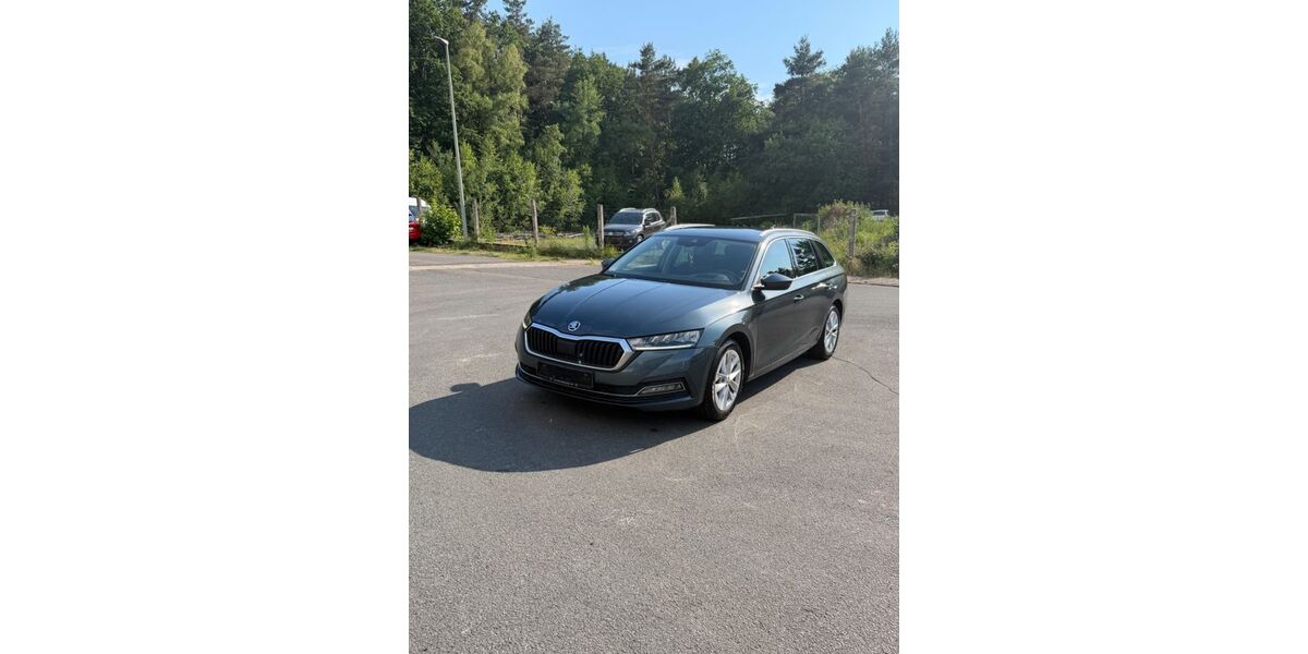 Skoda Octavia 203.183 km 12.900 &euro; Mehlingen 67678