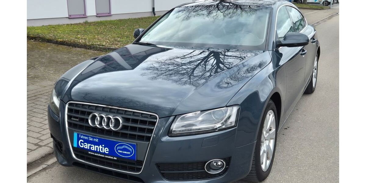 Audi A5 175.223 km 9.888 &euro; Kippenheim 77971