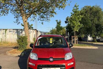 Fiat Panda 80.000 km 6.100 &euro; Freiburg im Breisgau 79111