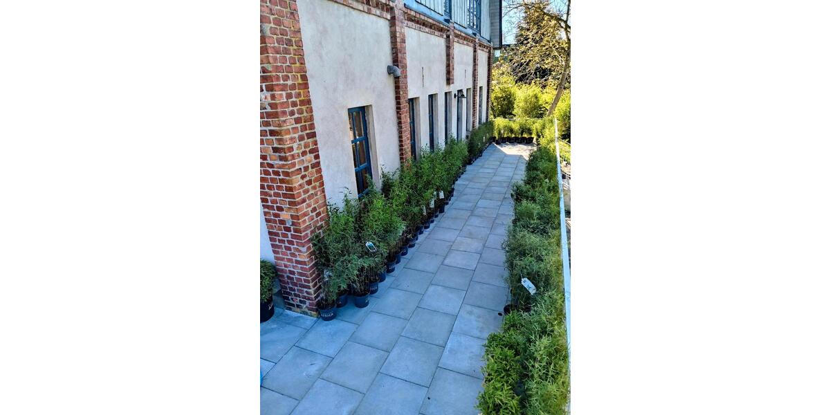 Terrassenwohnung Flintbek - 1.5 Zimmer, 50 m&sup2;, 550&euro; | Angebot:26368004