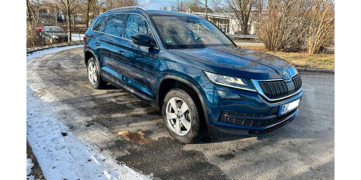Skoda Kodiaq 160.000 km 17.400 &euro; Teugn 93356