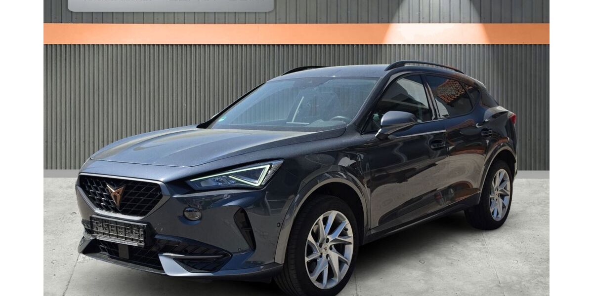 Cupra Formentor 74.925 km 23.950 &euro; Traunstein 83278