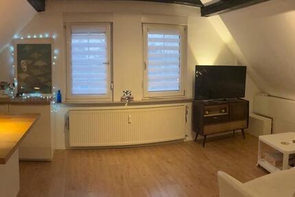 Wohnung Hanau Großauheim - 1 Zimmer, 30 m&sup2;, 385&euro; | Angebot:24893215