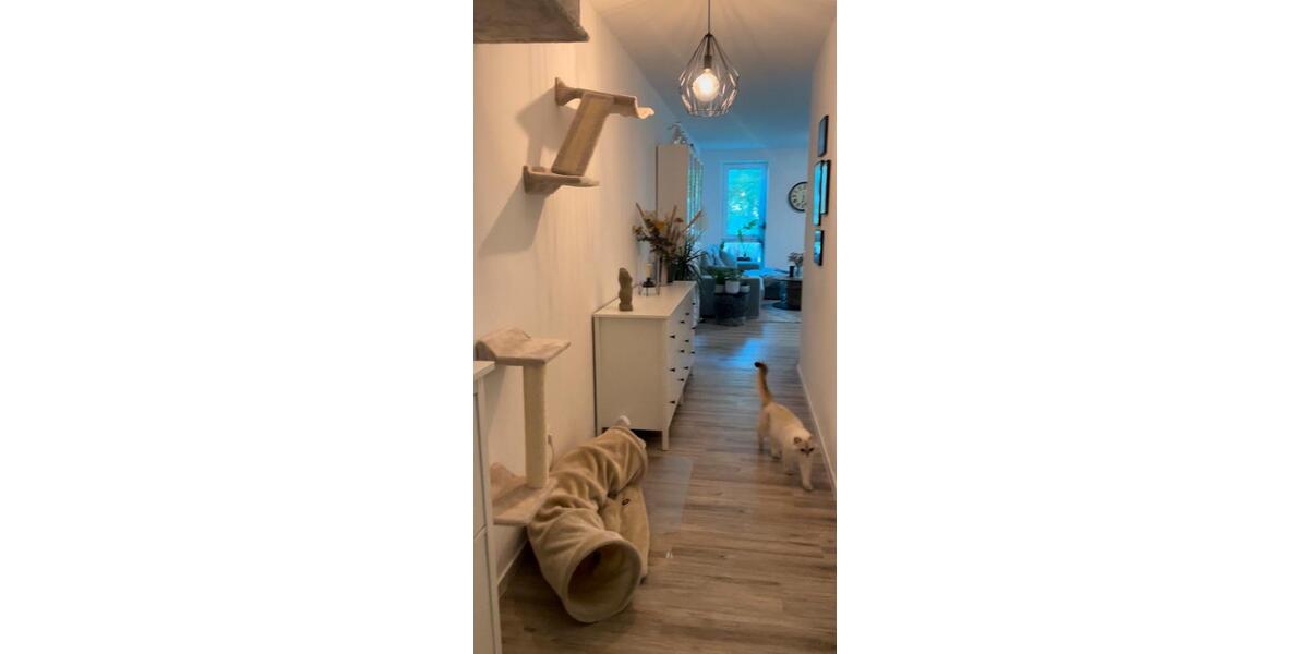 Erdgeschoßwohnung Jever - 2 Zimmer, 65 m&sup2;, 805&euro; | Angebot:26322890