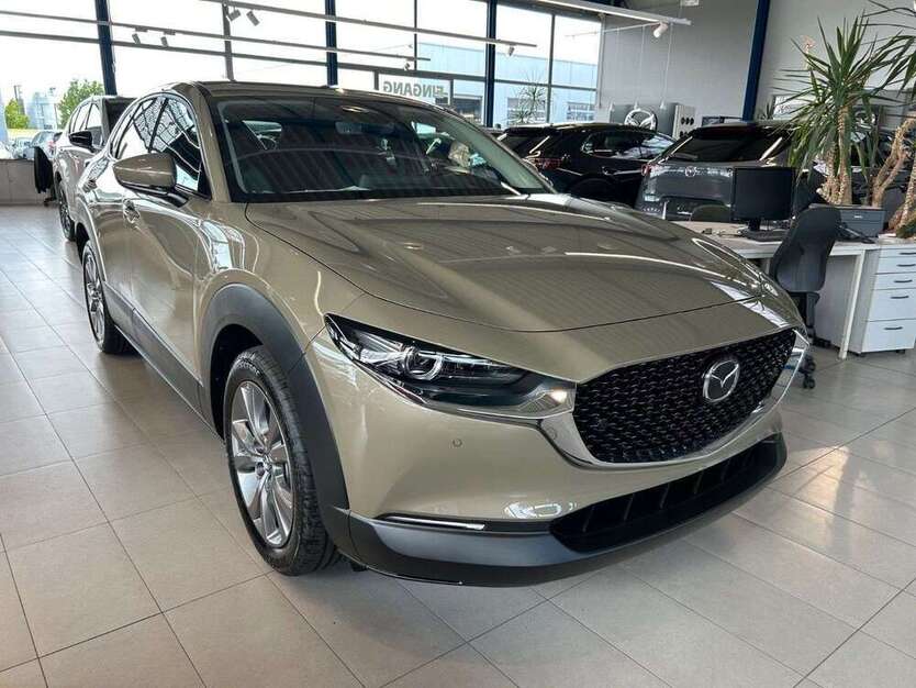 CX-30