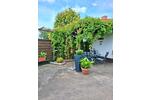 Bungalow Bismark (Altmark) - 6 Zimmer, 188 m&sup2;, 250.000&euro; | Angebot:26888676