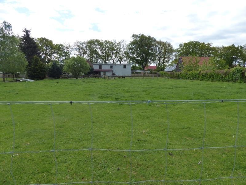 Auktion - Vertragslos als Weideland genutzte Grünfläche in Meyenburg