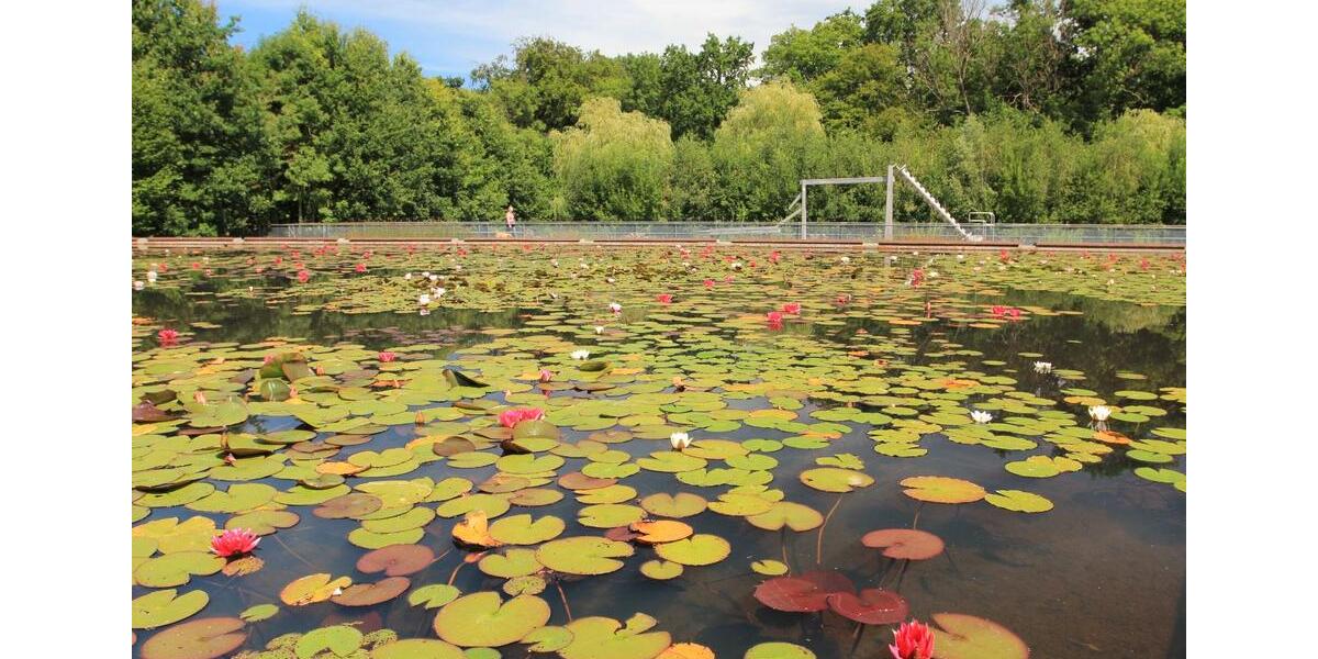 Erdgeschoßwohnung Löhne - 2 Zimmer, 61 m&sup2;, 189.100&euro; | Angebot:26348654