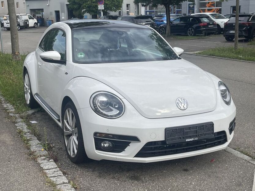 Beetle