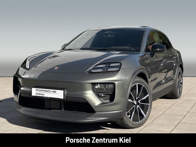 Macan