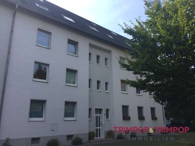 Wohnung zum Mieten in Krefeld 560 € 65 m² 3 zimmer