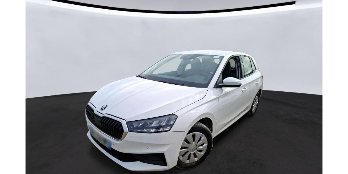 Skoda Fabia 53.513 km 11.690 &euro; Hagen 58091