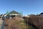 Bungalow Ottendorf-Okrilla Okrilla - 2 Zimmer, 115 m&sup2;, 1.700&euro; | Angebot:26261575