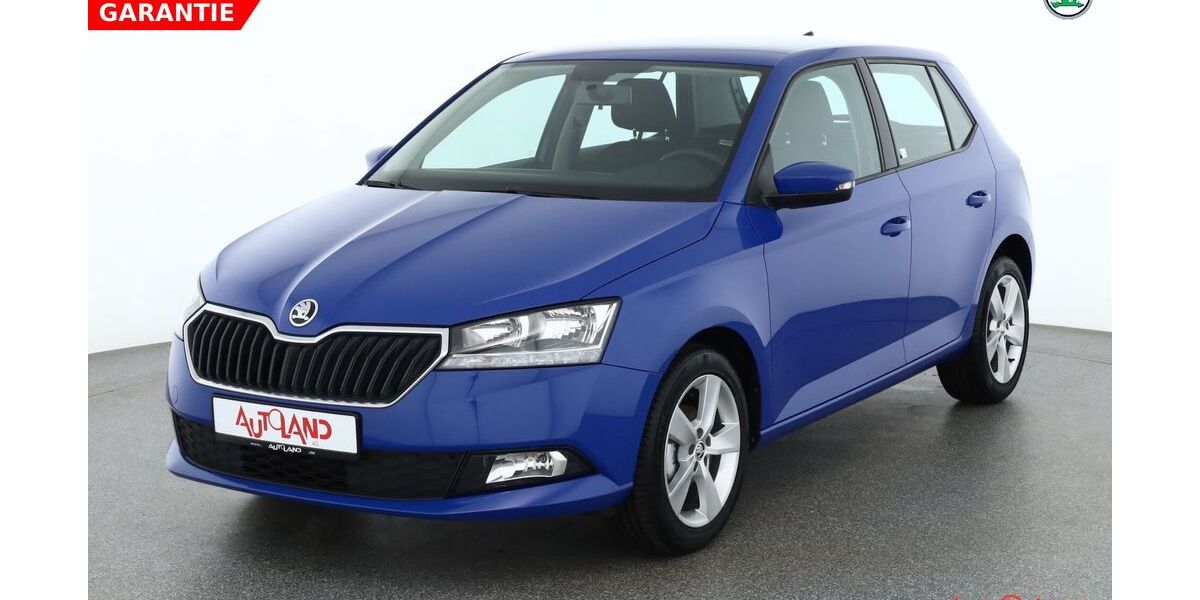 Skoda Fabia 57.064 km 14.990 &euro; Köthen 06366
