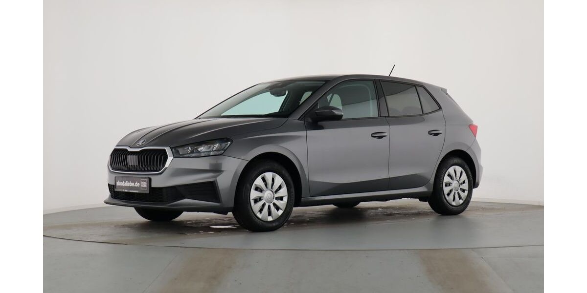 Skoda Fabia 19.999 km 13.889 &euro; Halle (Saale) 06126