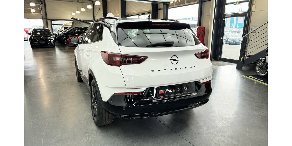 Opel Grandland 1.2 Turbo GS Line CarPlay Cam 35.140 km 16.830 &euro; Lich 35423