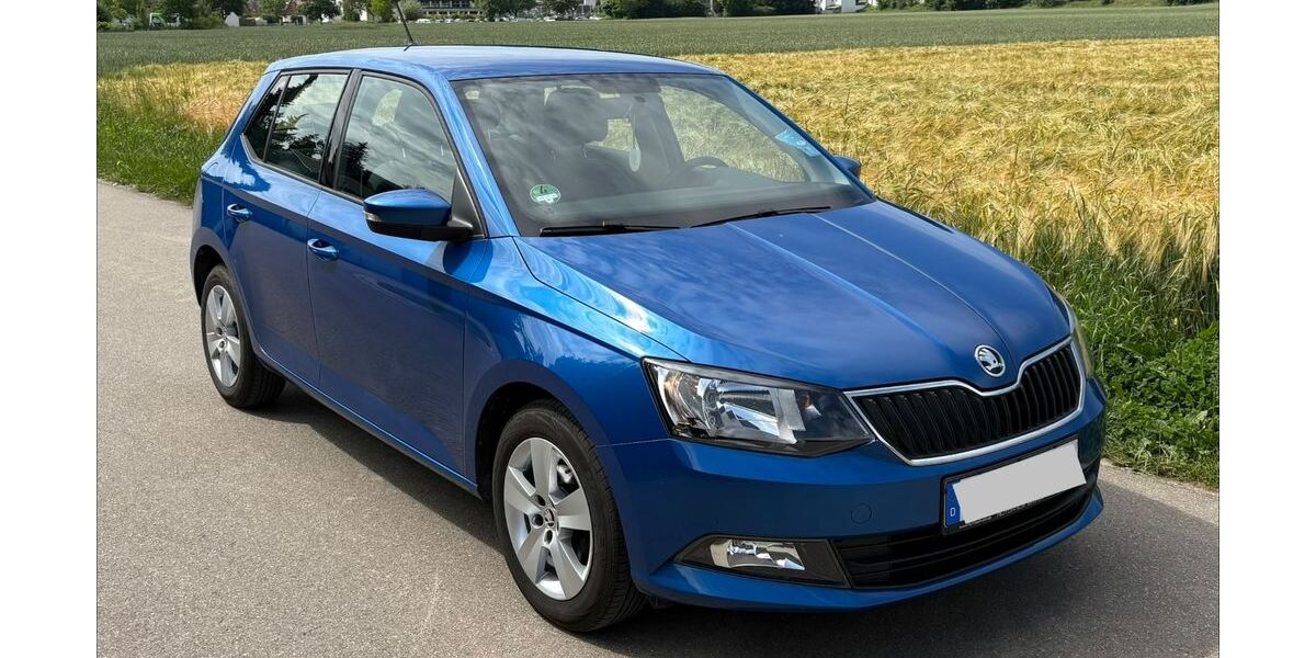 Skoda Fabia 55.000 km 9.600 &euro; Mindelheim 87719