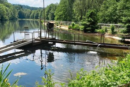 Gewerbeobjekt Gornsdorf - 30&euro; | Angebot:11165397