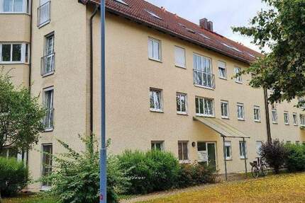 Schöne 3 Zimmer ETW am Stadtwald 3 zimmer