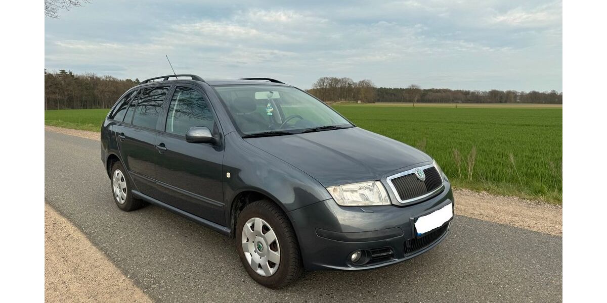 Skoda Fabia 128.000 km 3.350 &euro; Lüneburg 21339