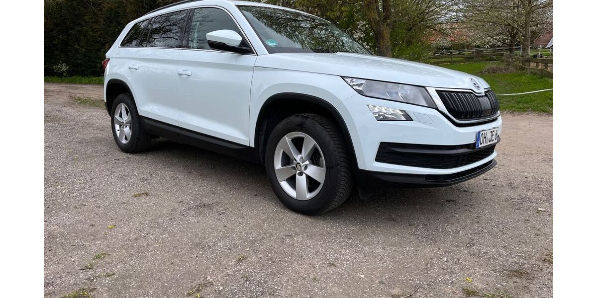 Skoda Kodiaq 79.946 km 16.900 &euro; Damlos 23738