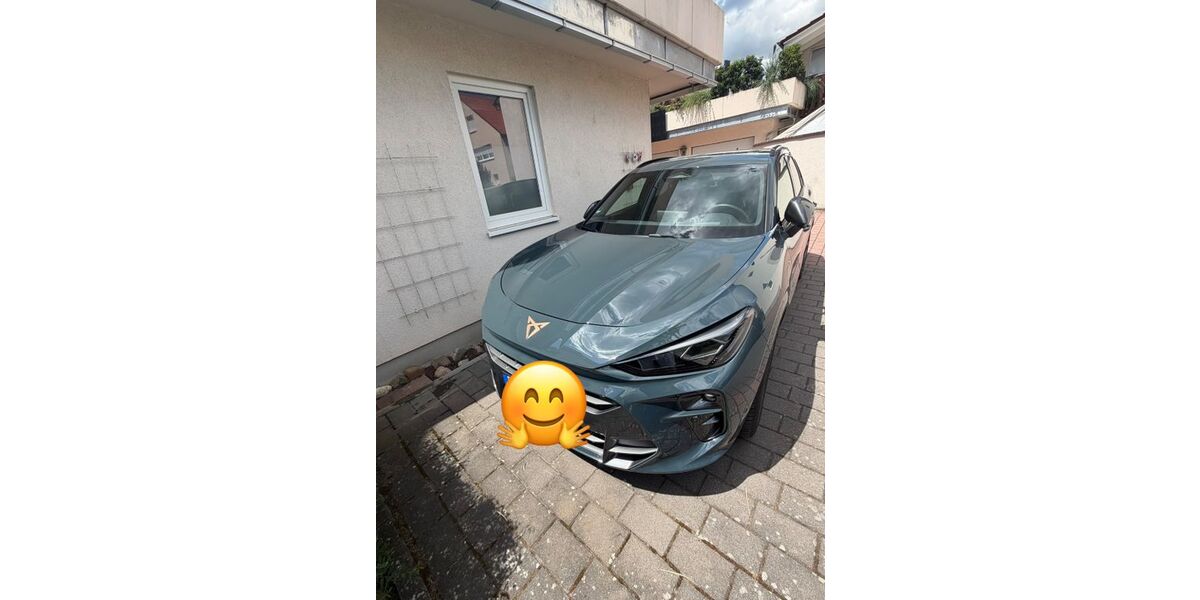 Cupra Terramar 15.500 km 45.750 &euro; Bad Dürkheim 67098