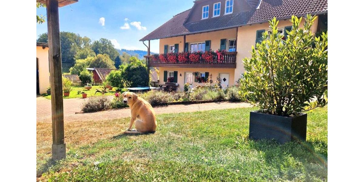 Einfamilienhaus Birkenfeld - 11 Zimmer, 350 m&sup2;, 849.000&euro; | Angebot:27145824