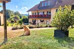 Einfamilienhaus Birkenfeld - 11 Zimmer, 350 m&sup2;, 849.000&euro; | Angebot:27145824