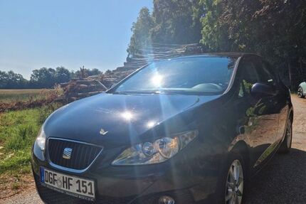 Seat Ibiza 203.000 km 2.300 &euro; Landau an Der isar 94405