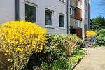 Erdgeschoßwohnung Bremen Schwachhausen - 3 Zimmer, 72 m&sup2;, 720&euro; | Angebot:26664583