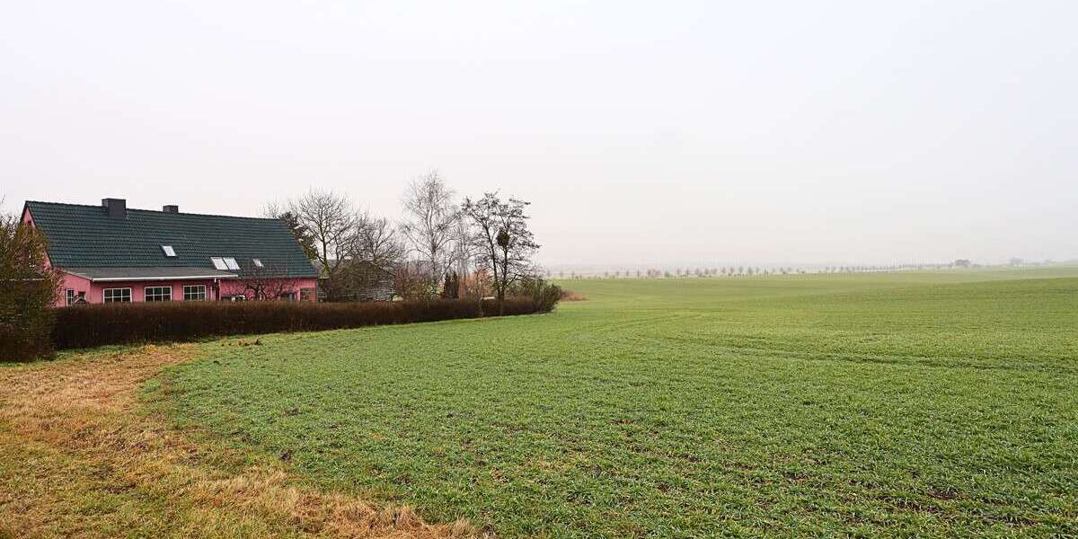 Grundstück Grünow Grünow - 13.999&euro; | Angebot:24829540