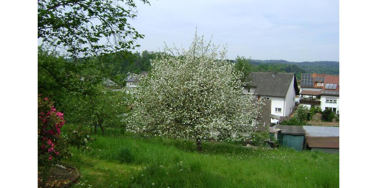 Mehrfamilienhaus, Wohnhaus Mörlenbach - 13 Zimmer, 244 m&sup2;, 698.000&euro; | Angebot:25171657