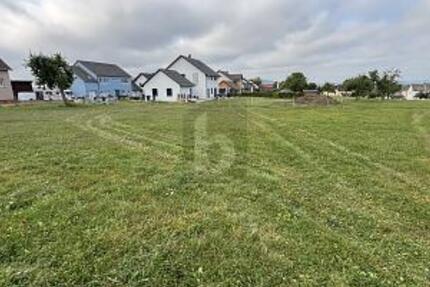 TRAUMLAGE, PERFEKTE GRÖßE, ERSCHLOSSEN - Grundstück Biesdorf | Angebot:25258025