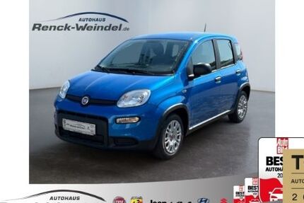Fiat Panda 3.348 km 15.989 &euro; Speyer 67346