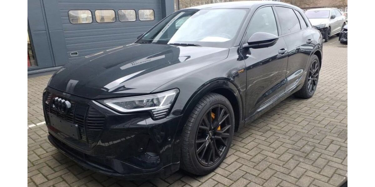 Audi e-tron 37.328 km 41.979 &euro; Wittingen 29378