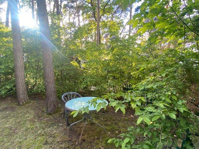 Bungalow Beetzsee - 1 Zimmer, 42 m&sup2;, 19.000&euro; | Angebot:26890893