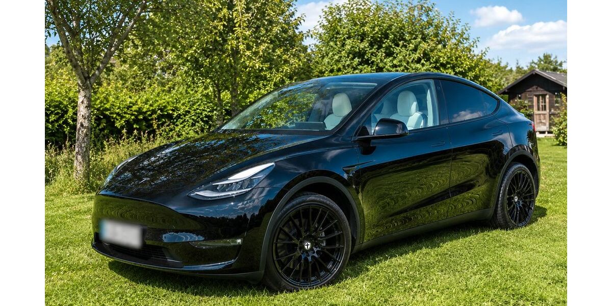 Tesla Model Y 39.983 km 35.500 &euro; Brakel nähe Paderborn 33100