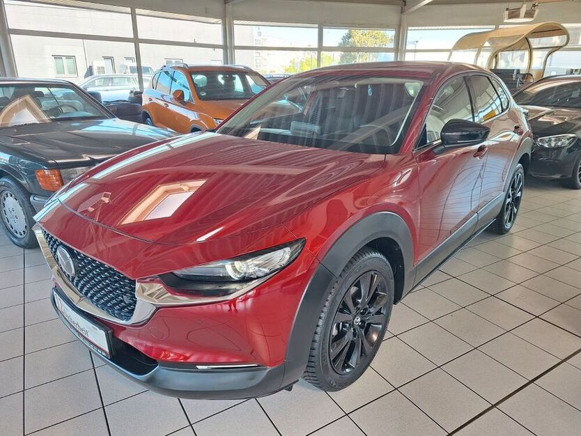 CX-30