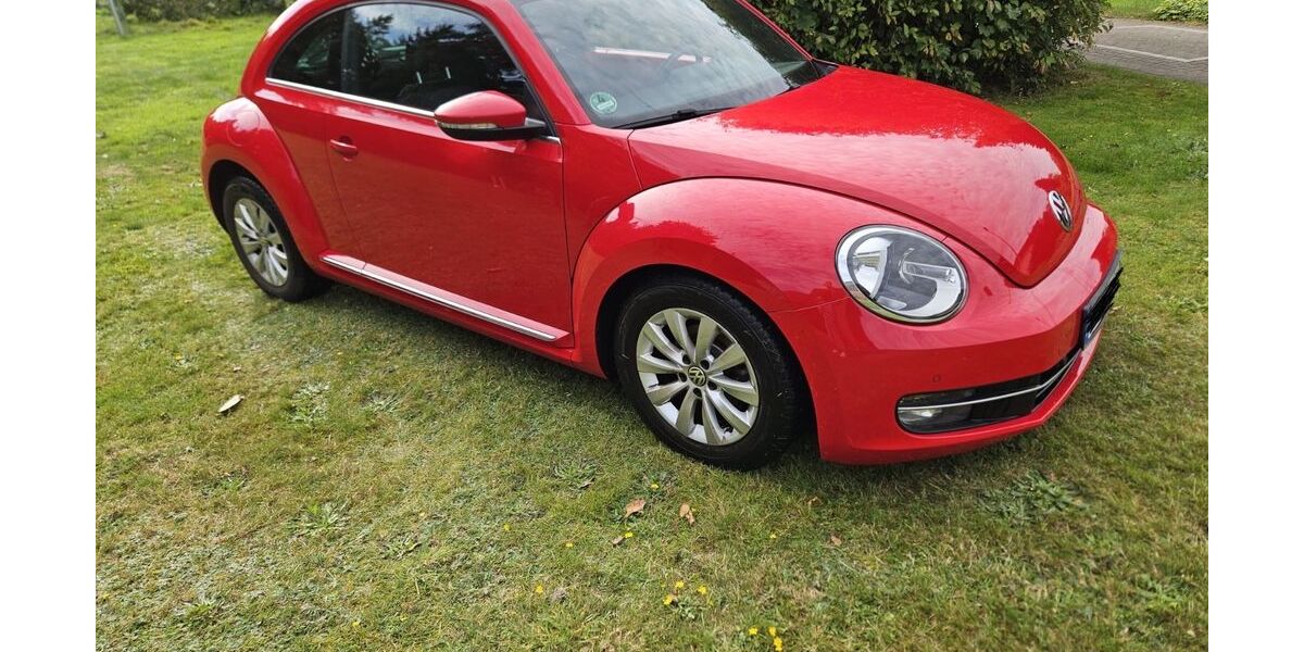 VW Beetle 116.000 km 8.900 &euro; Hechthausen 21755